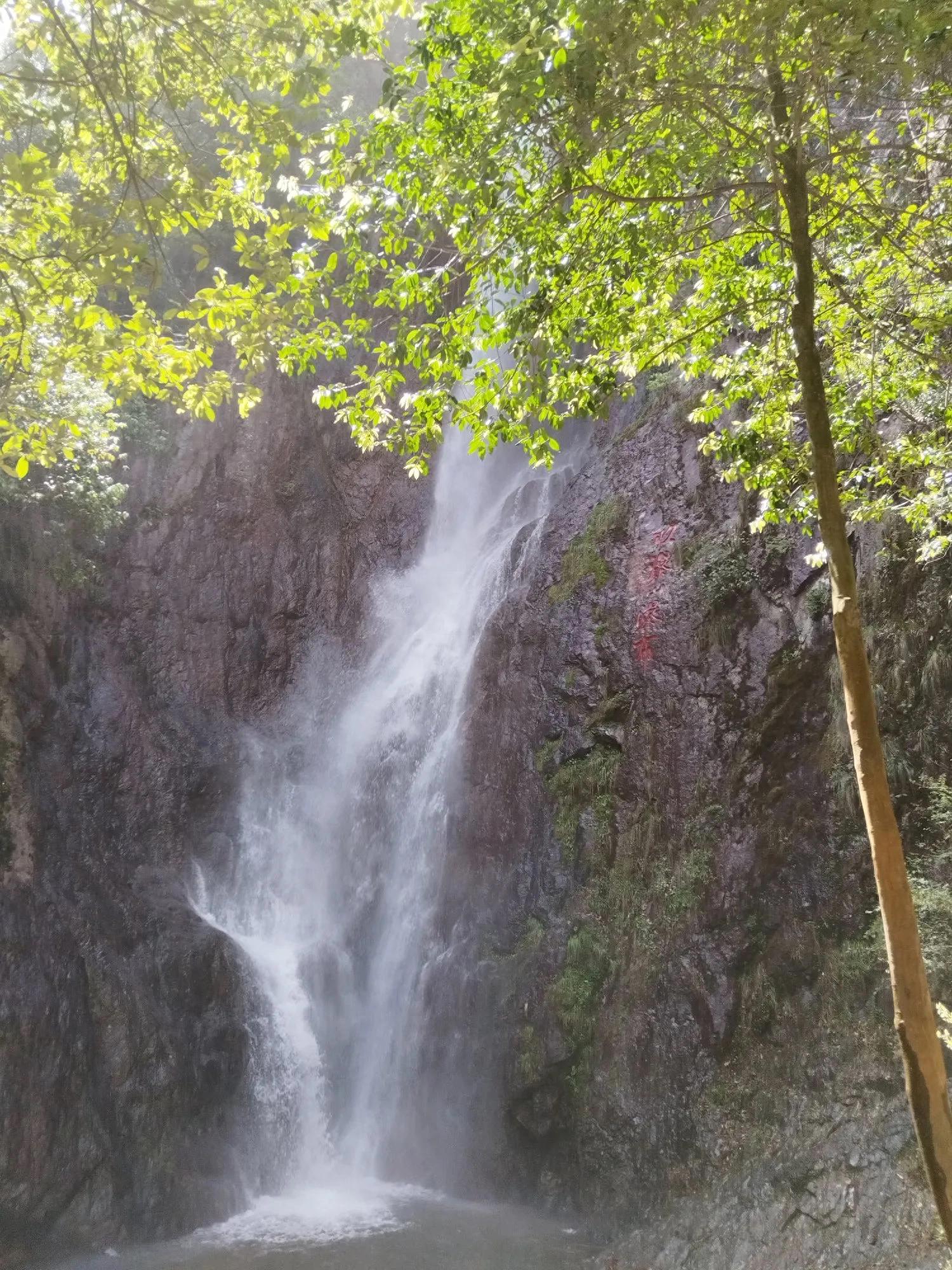 中考必看：阅读作用类题