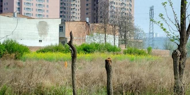 伺候公婆六年被小叔子一个耳光打醒，她把公婆送上车：不伺候了