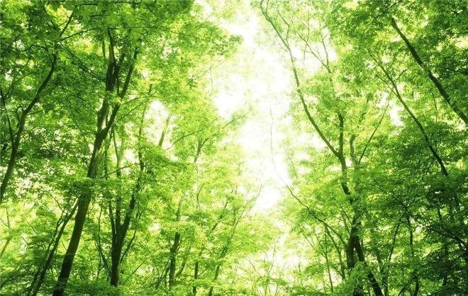 伺候公婆六年被小叔子一个耳光打醒，她把公婆送上车：不伺候了