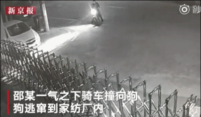 今年最沙雕的67条新闻，你能忍到哪一条？