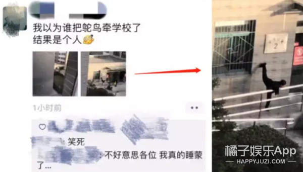 今年最沙雕的67条新闻，你能忍到哪一条？