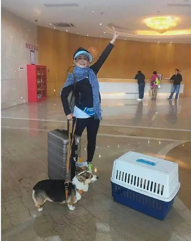 一把好牌打得稀巴烂!被徐威宠坏的袁立,自己把口碑作塌了?