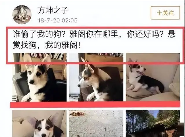一把好牌打得稀巴烂!被徐威宠坏的袁立,自己把口碑作塌了?