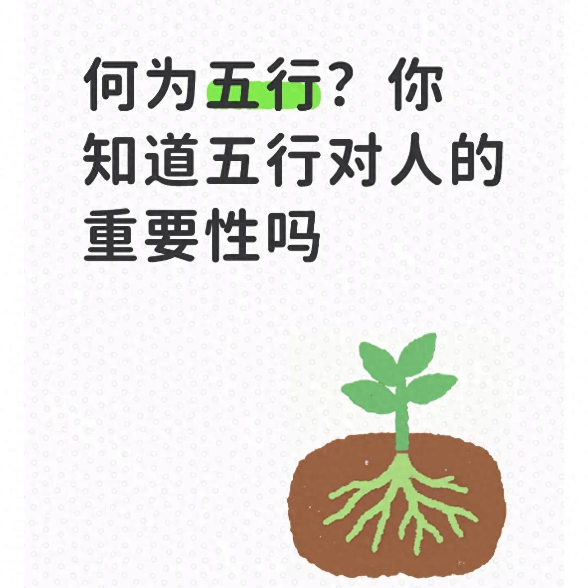 何为五行?你知道五行对人的重要性吗