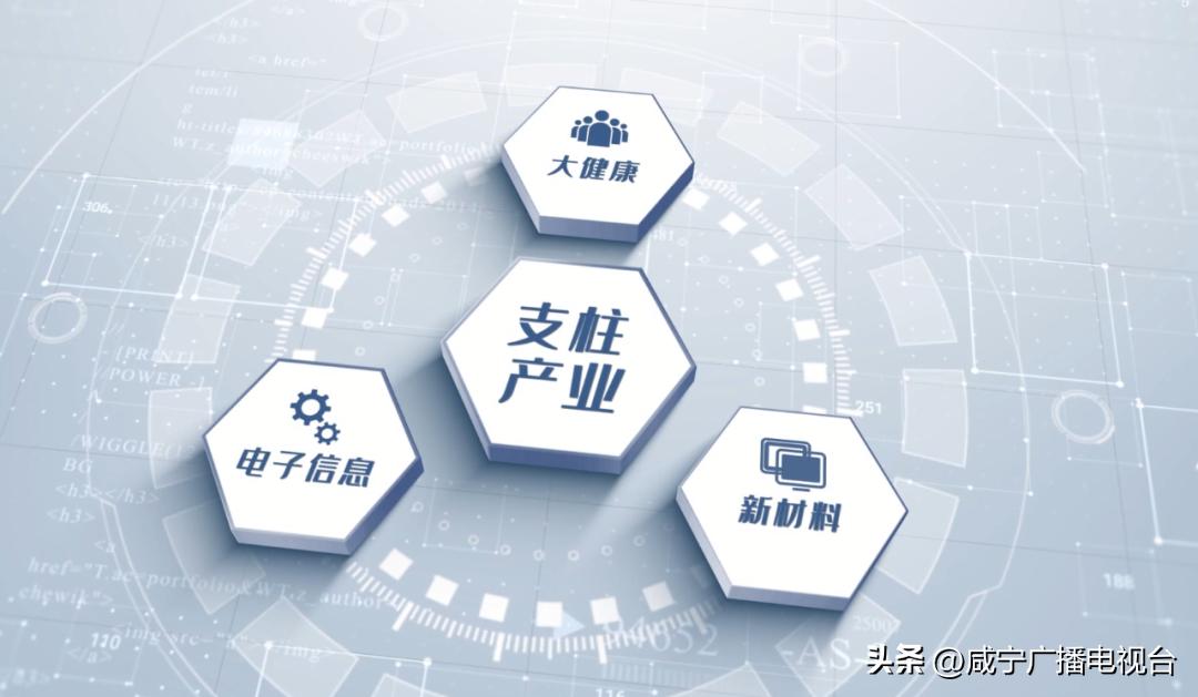 新春走起，看看通城经济开发区→