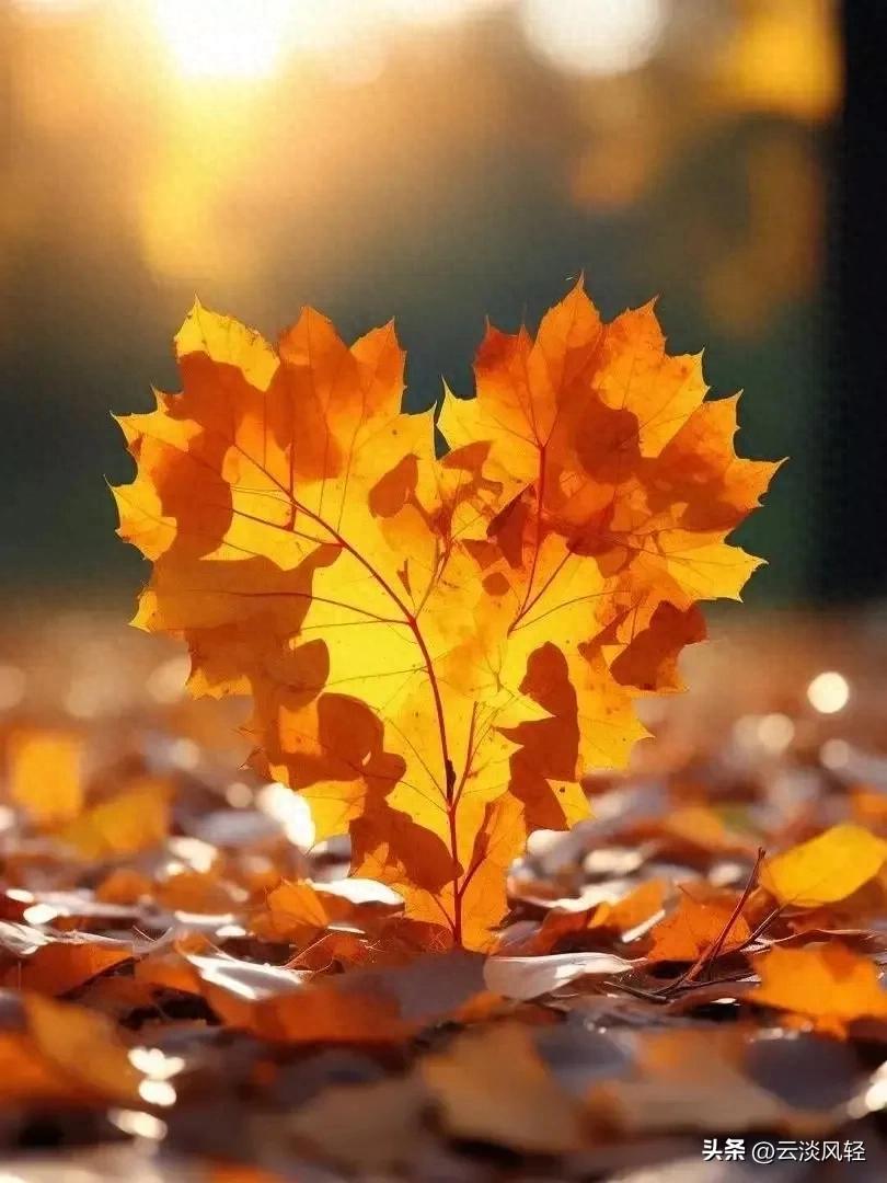 一张图测测你和另一半般配吗？挺准额！