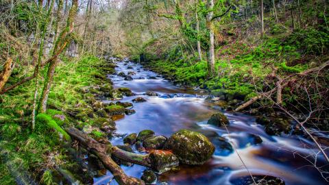 传奇家族名字大全好听霸气的传奇家族名字