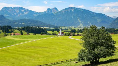 打造一个好听的游戏家族名字，让你的游戏之路更加精彩