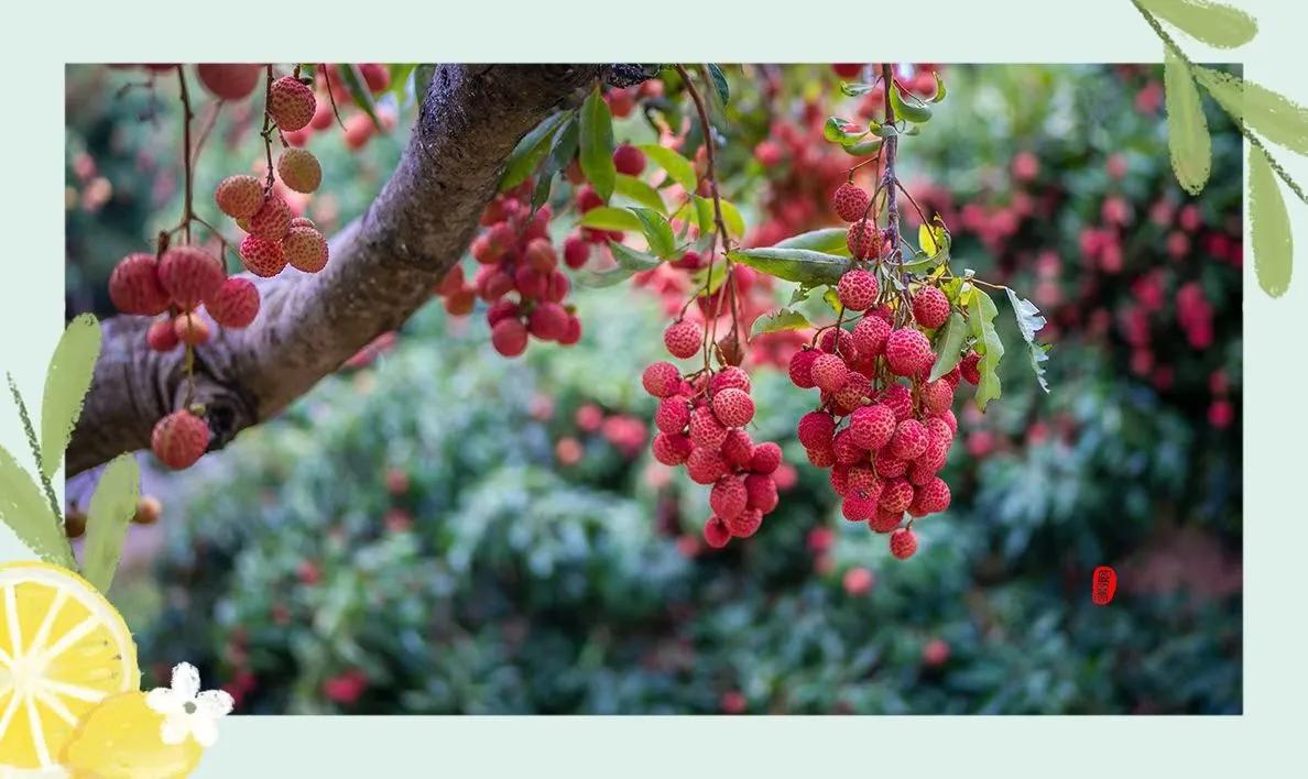 中小学教师专业技术工作总结要把握好的三大点之——标题