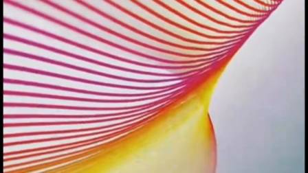 【放送文化/广播电视/新闻节目片头/新闻节目/新闻节目开场/电视】重庆卫视2012.6.2218:29:58