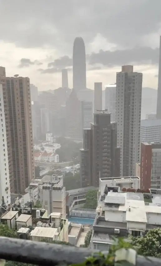 杨小娟晒半山豪宅喜鹊报喜,吕良伟娶旺夫女家业兴旺,儿子有出息