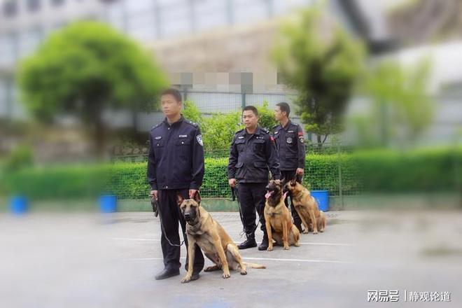 吴亦凡最终判决，其母亲欲翻案，13张看守所照片曝光，生活暴露！