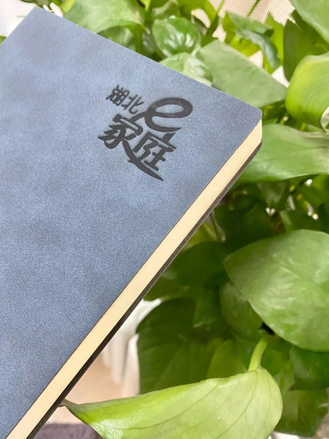 钱志亮:0-6岁早期教育,到底应该教孩子什么?