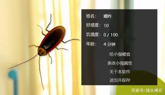 在电脑桌面上养蟑螂，除了喂食还能给它戴蝴蝶结