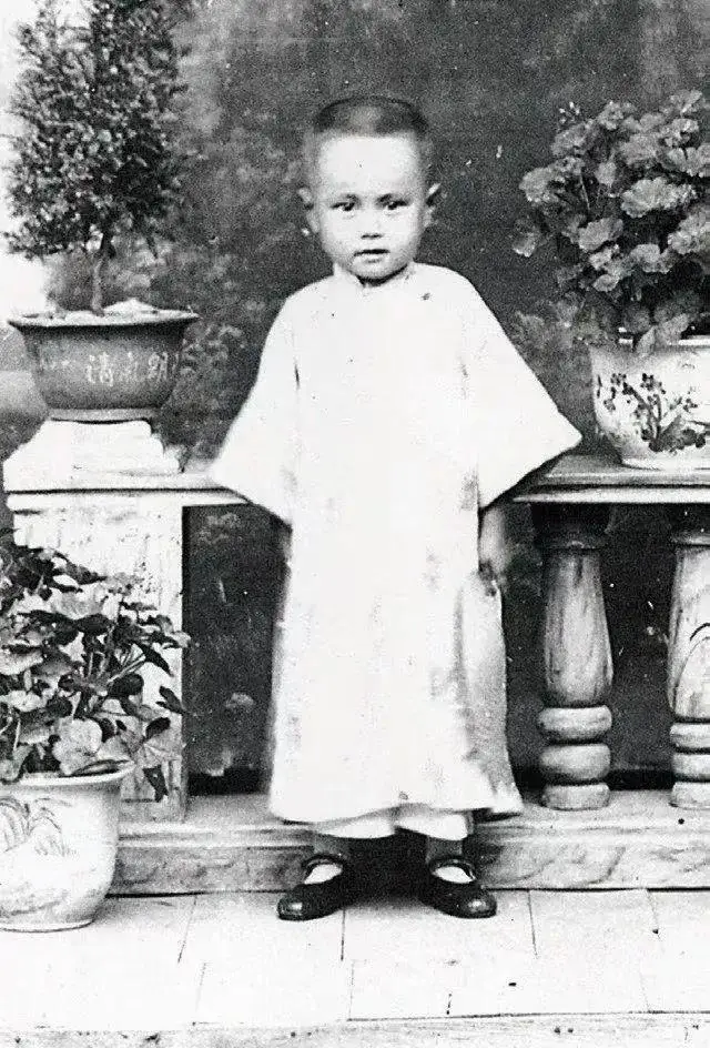 这是翁帆和杜致礼、杜致礼妹妹及三个继子3张合影，她俩都像婆婆