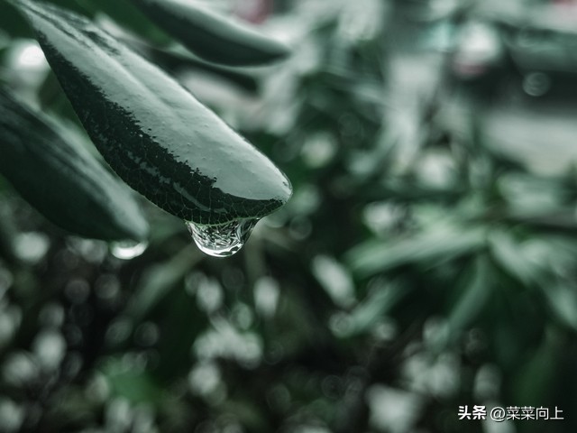 2026年入梅出梅时间确定!哪天入梅、哪天出梅?今夏雨水多不多?