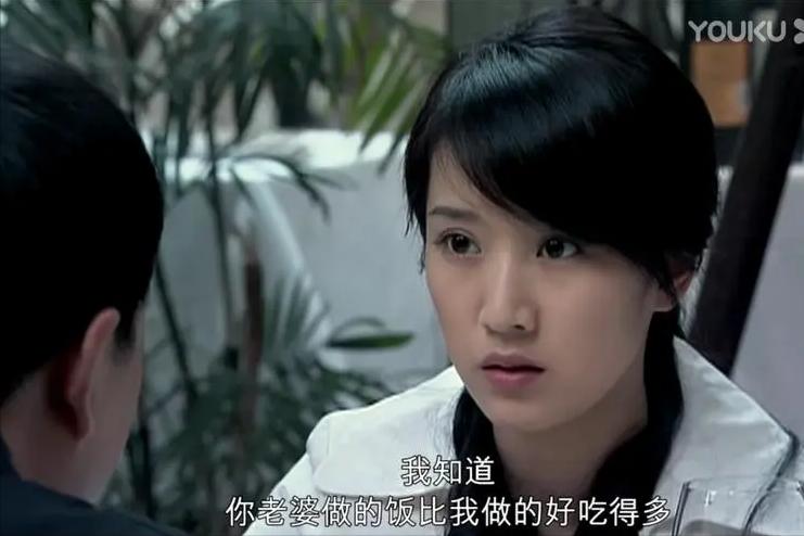 《蜗居》:海萍一场歇斯底里的痛哭,彻底将海藻拉入第三者的深渊