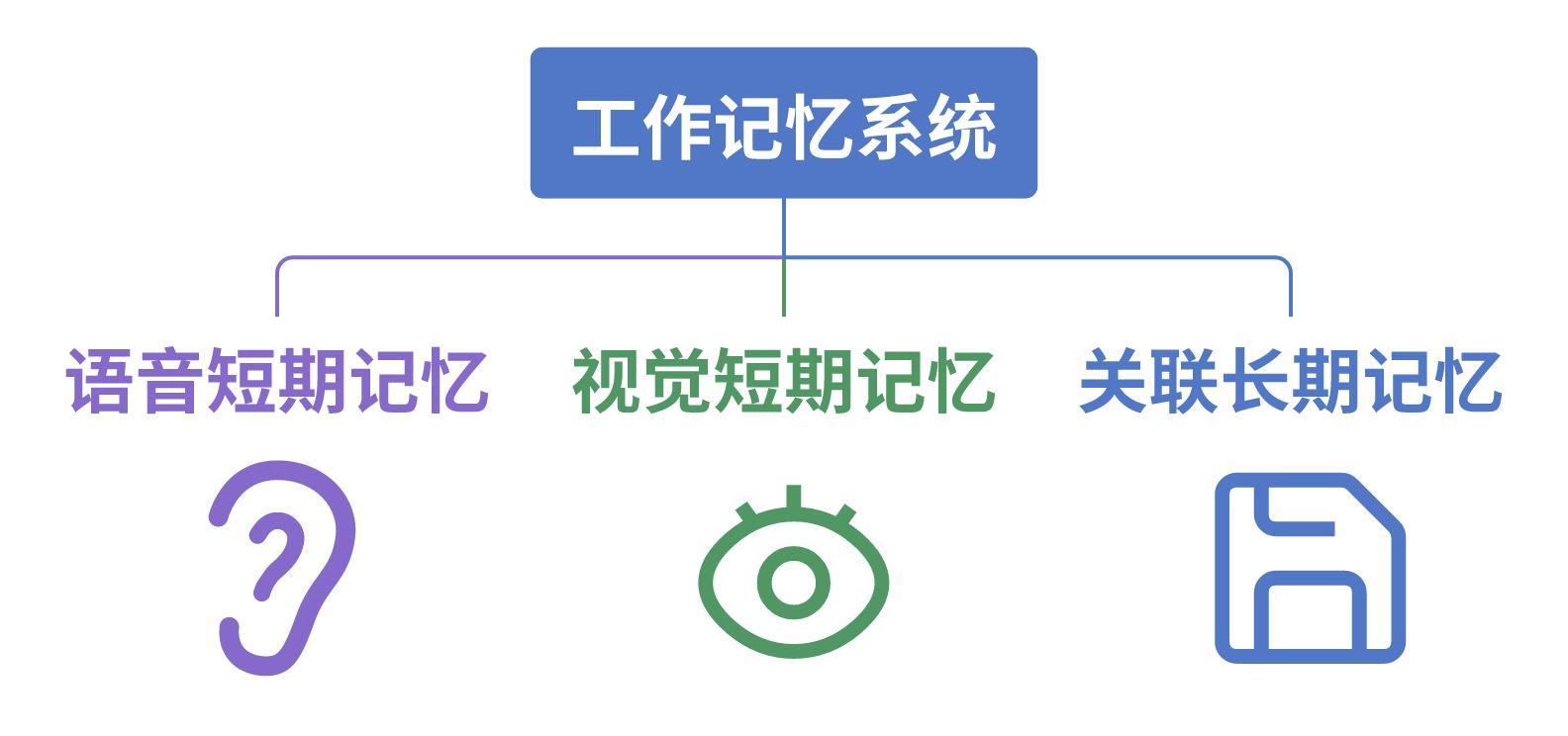 超实用记忆技巧：二、别再羡慕 “过目不忘”！“记性好” 的原理