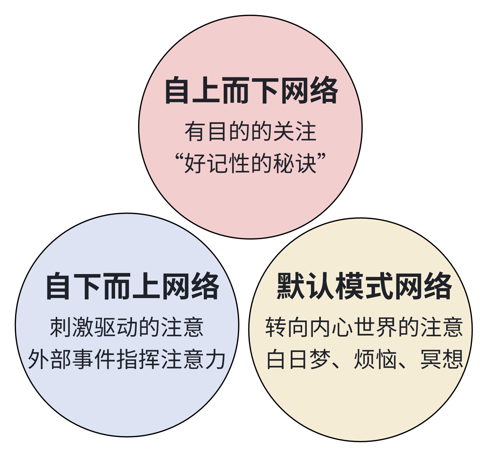 超实用记忆技巧：二、别再羡慕 “过目不忘”！“记性好” 的原理