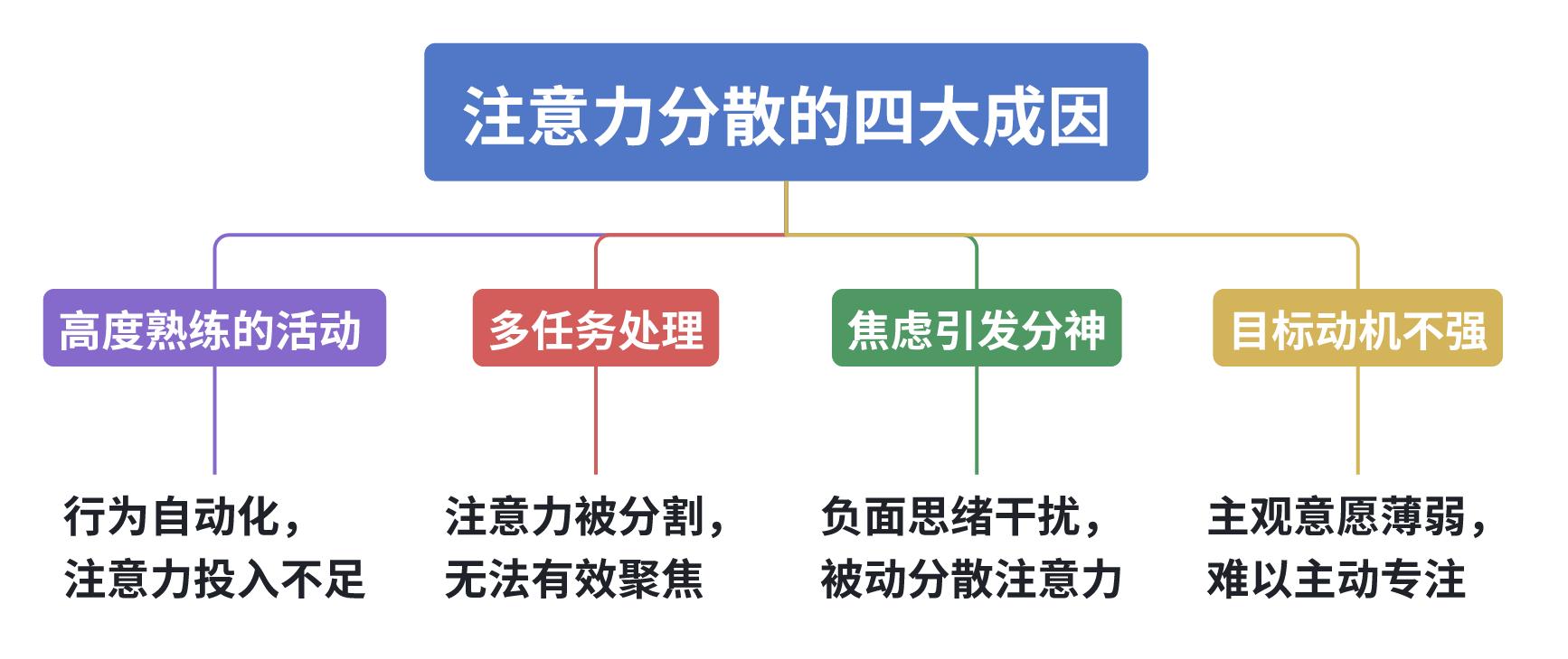 超实用记忆技巧：二、别再羡慕 “过目不忘”！“记性好” 的原理
