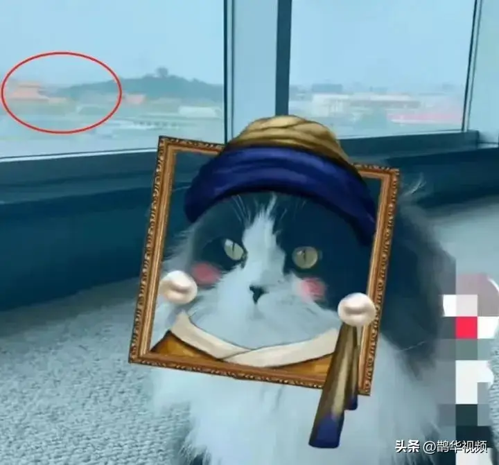 冲上热搜！知名女演员的富豪丈夫，被限制高消费