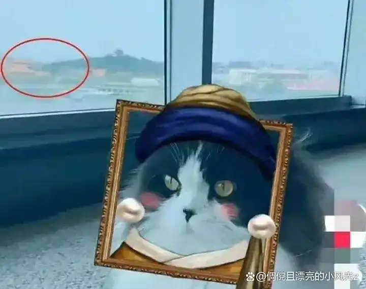 知名女演员的富商丈夫，已被限制高消费