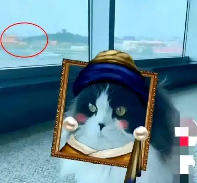 女星富豪老公！被限制消费！