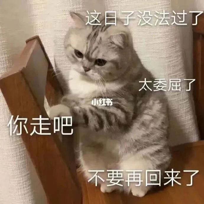 我们的愤怒,究竟在表达什么?
