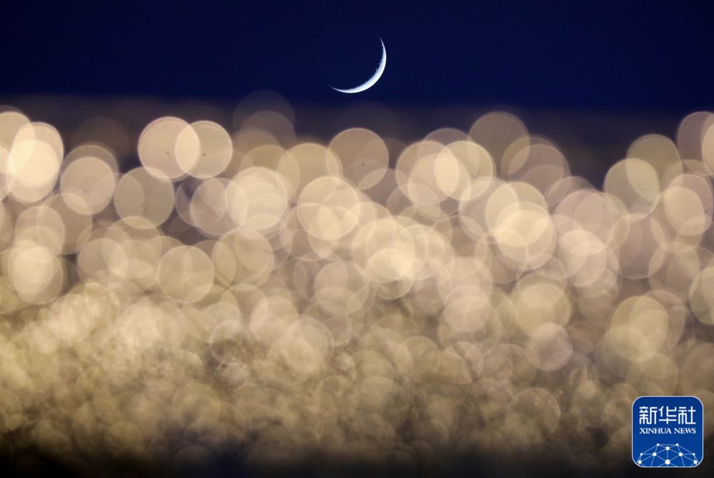 2025年新华社年度照片·国际新闻