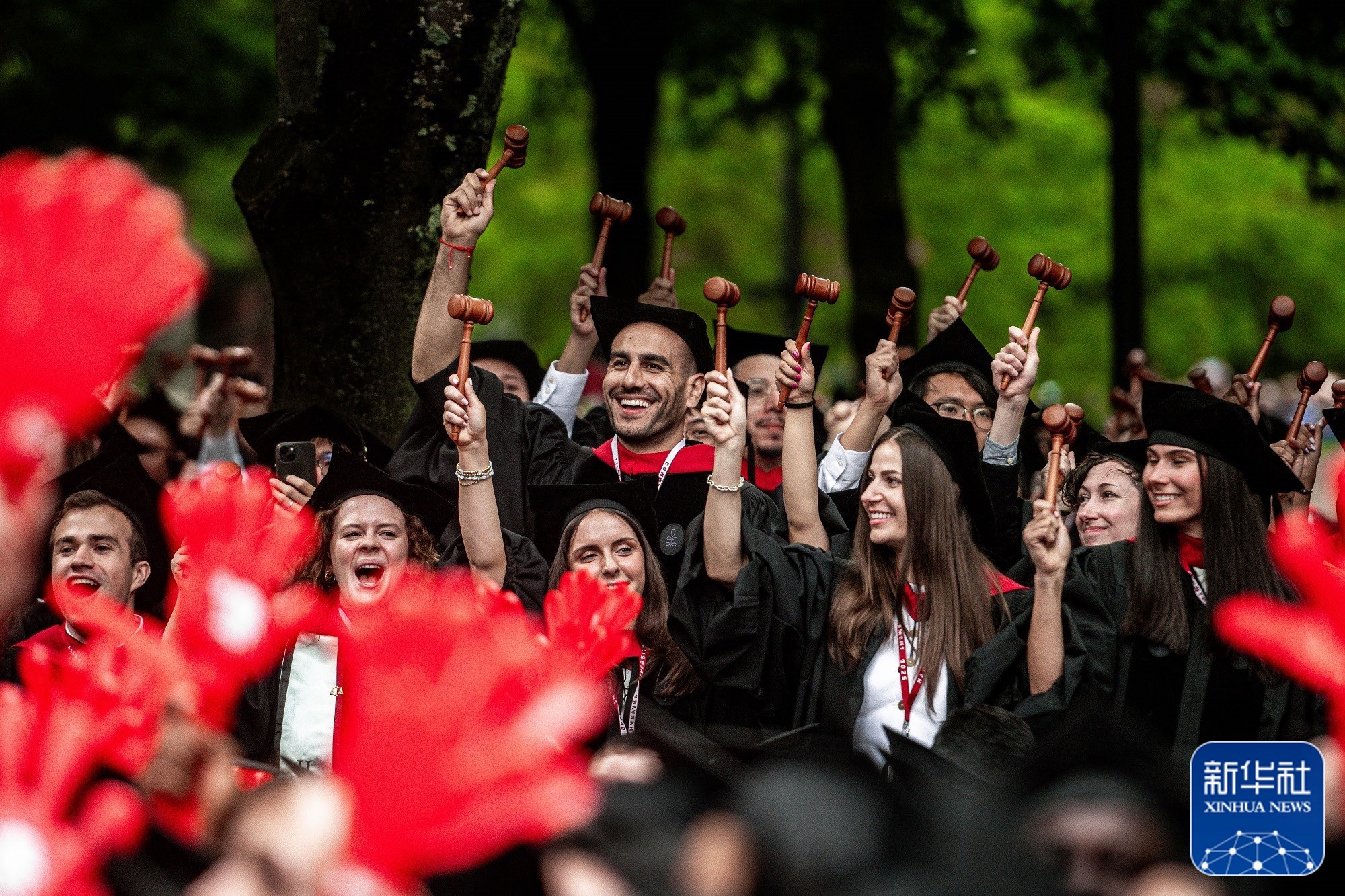 2025年新华社年度照片·国际新闻