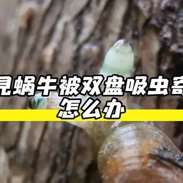 僵尸蜗牛现世！夜间荧光恐怖片既视感