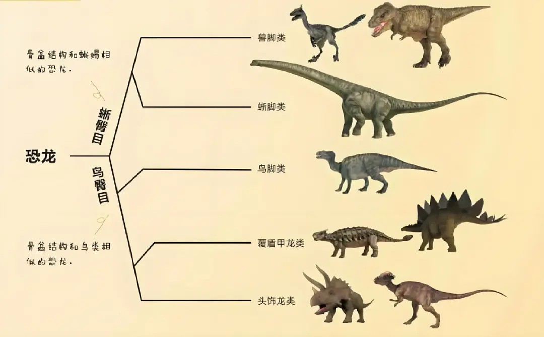 走进恐龙王国