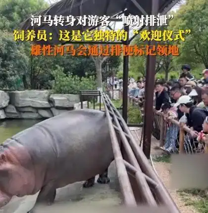 笑岔气了！2025十大怪异新闻，个个都是高手，肯定有你未曾见过的
