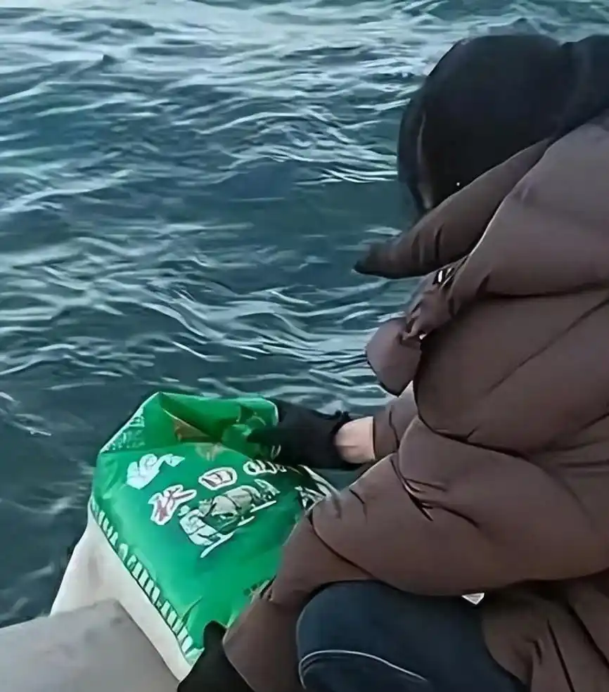 2025十大奇葩新闻，精彩程度堪比段子，个个都是人才，看看你漏了哪个