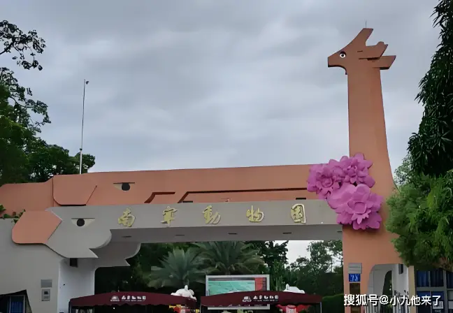 广西南宁旅游必去十大景点游玩攻略,别只知道桂林!2026年2月南宁最新保姆级攻略,这十大秘境不去真的亏大了,推荐收藏游玩
