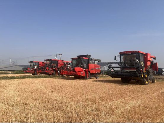 开创!2026新未来——区委三届十三次全会暨区委经济工作会议精神引发热议