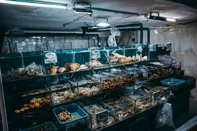 西安天价面我替店家叫屈