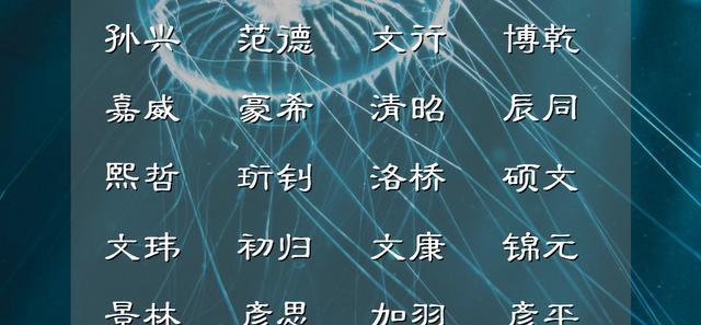 自信满满，朝气阳光的男孩名字，承载了满满的父母之爱