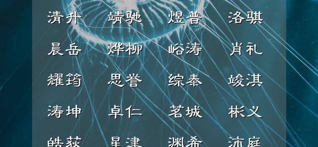 自信满满，朝气阳光的男孩名字，承载了满满的父母之爱