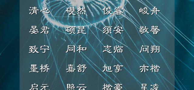 自信满满，朝气阳光的男孩名字，承载了满满的父母之爱