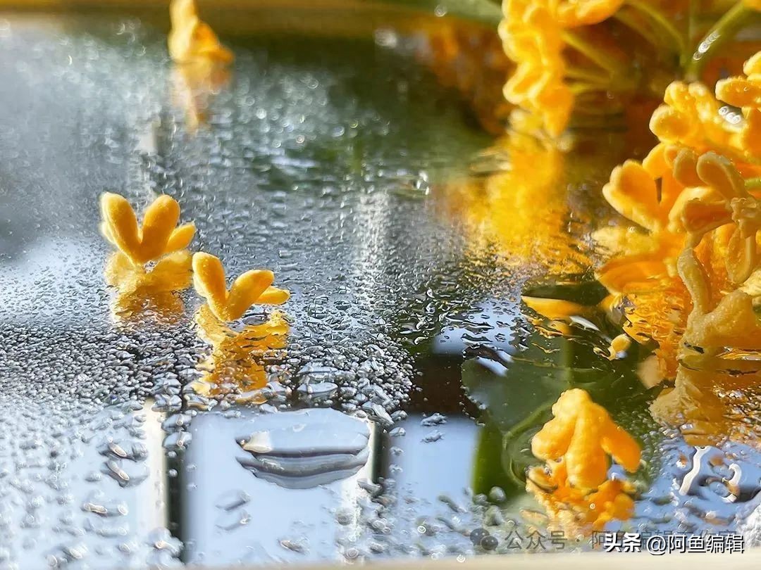 什么是核心期刊编号？一文看懂CN号与ISSN号的区别！