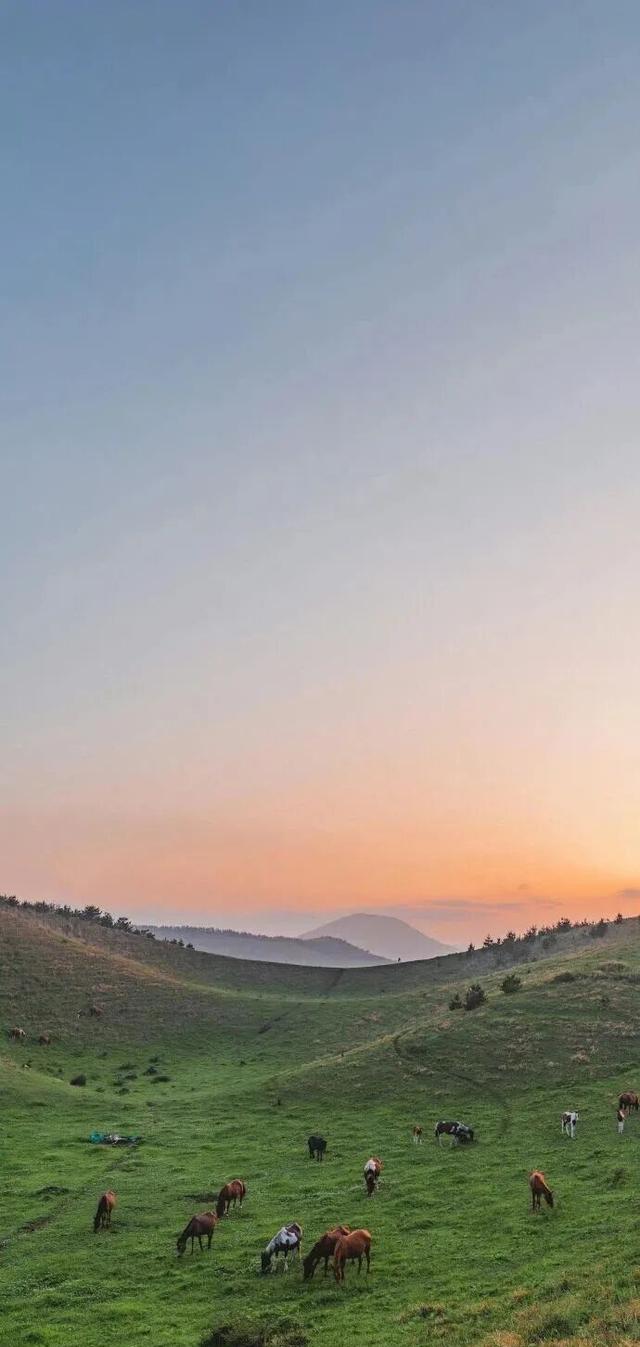 精选高清全屏壁纸  Wallpaper