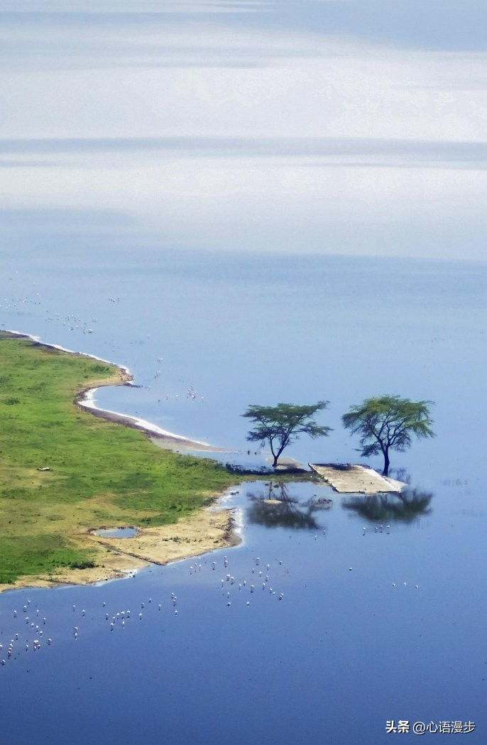 2026年，你家孩子将会遇到大机遇，前途无量，贵人不断