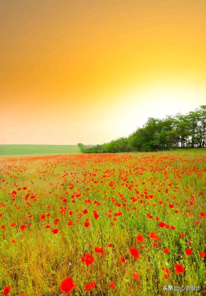 2026年，你家孩子将会遇到大机遇，前途无量，贵人不断