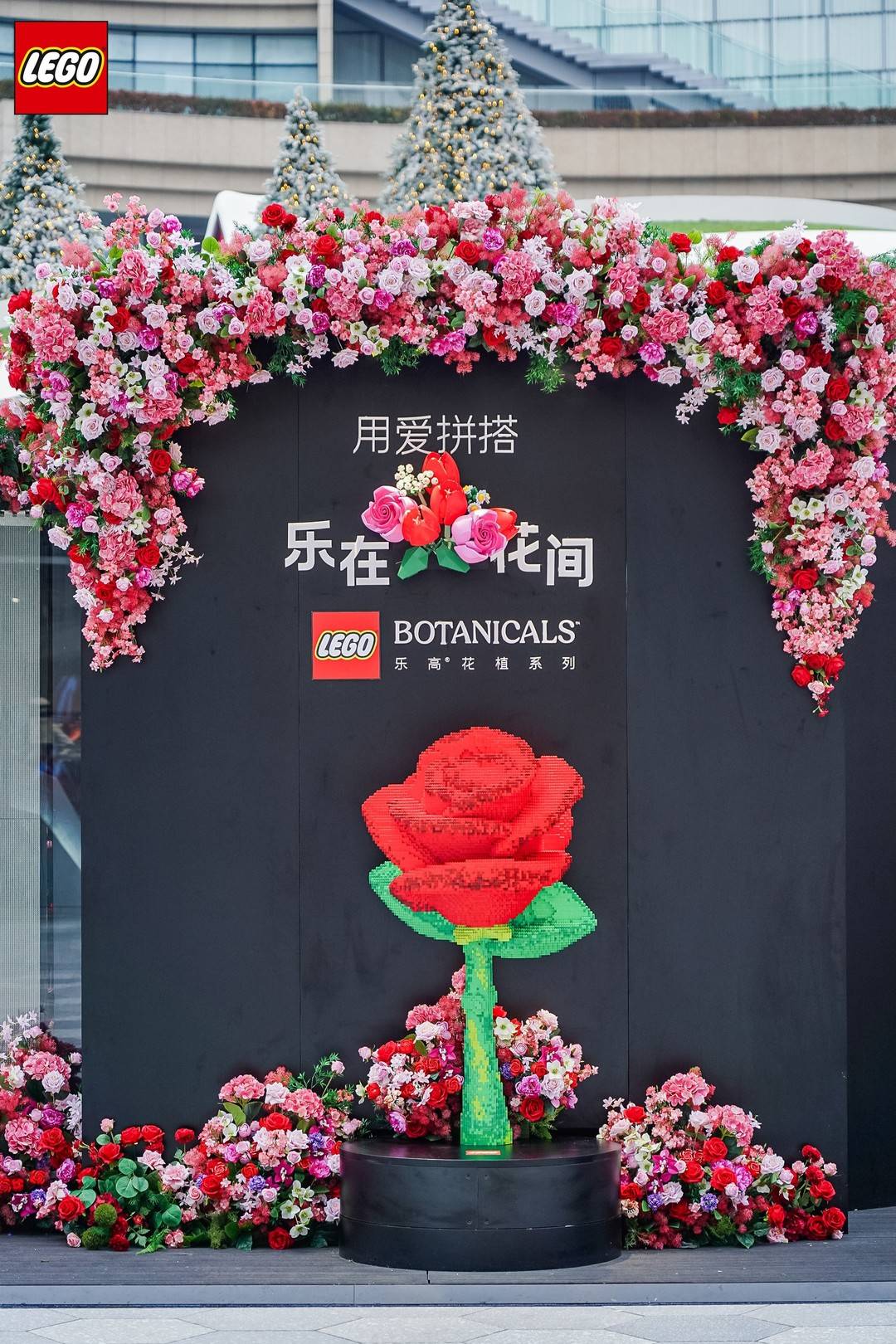 当情人节不止于礼物而关乎“共同创造”，以乐高®花植系列拼出花式爱意！