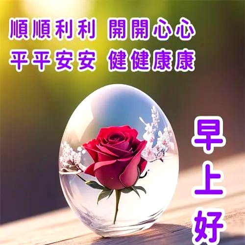 今天最新精美早安图片，非常暖心的早上好问候语，愿你快乐每一天
