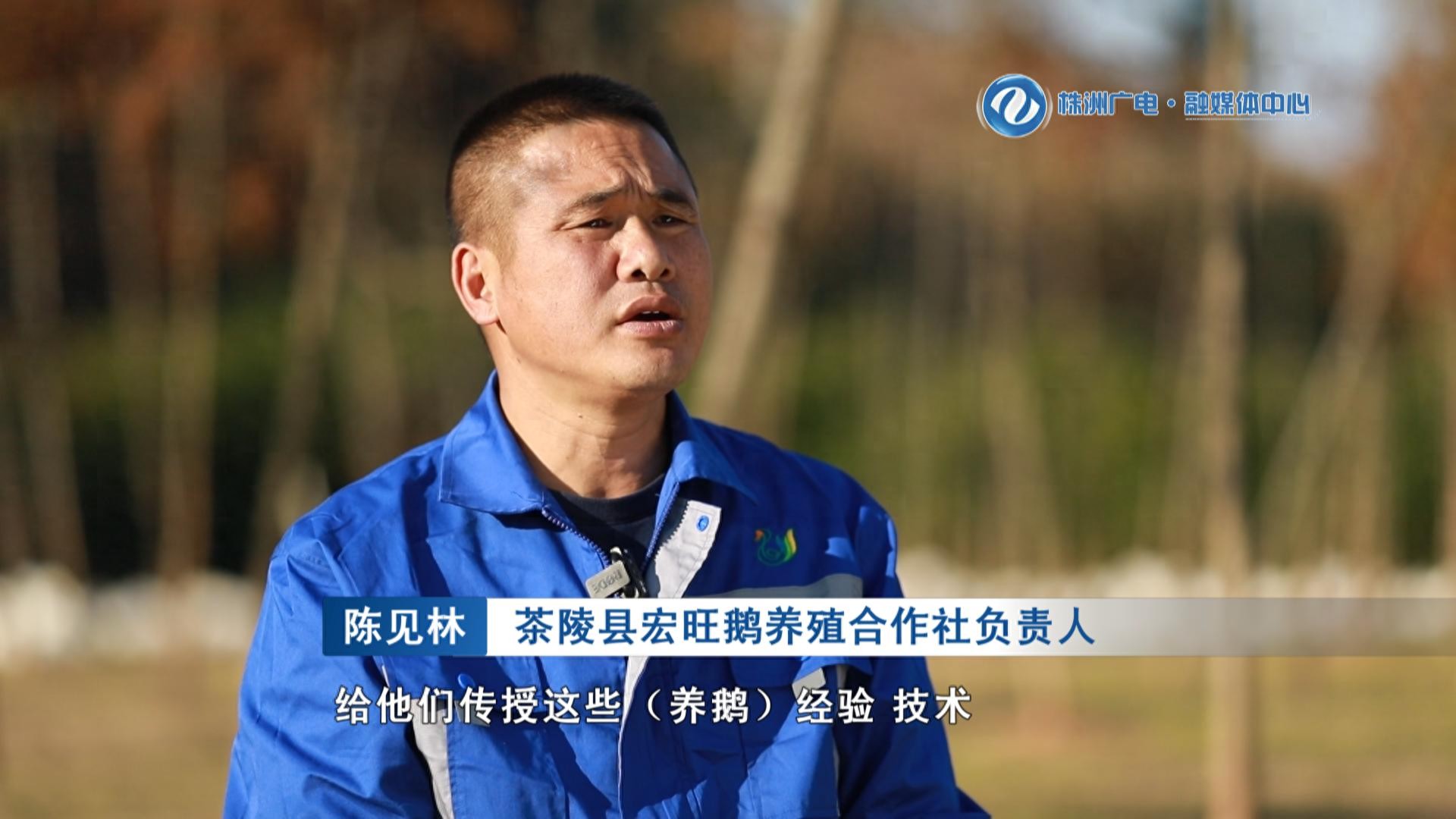 系列报道《青春在田野“盛开”》（二）白鹅缀沃野 一人带千户