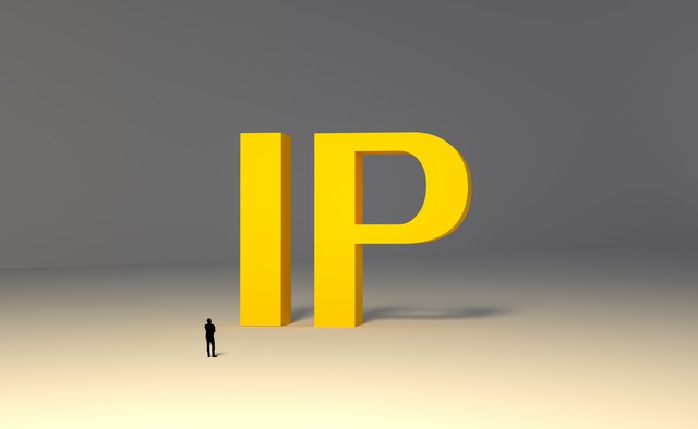 Python爬虫中的代理IP设置与实战策略