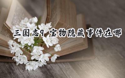 三国志9：宝物寻踪与隐藏事件全攻略