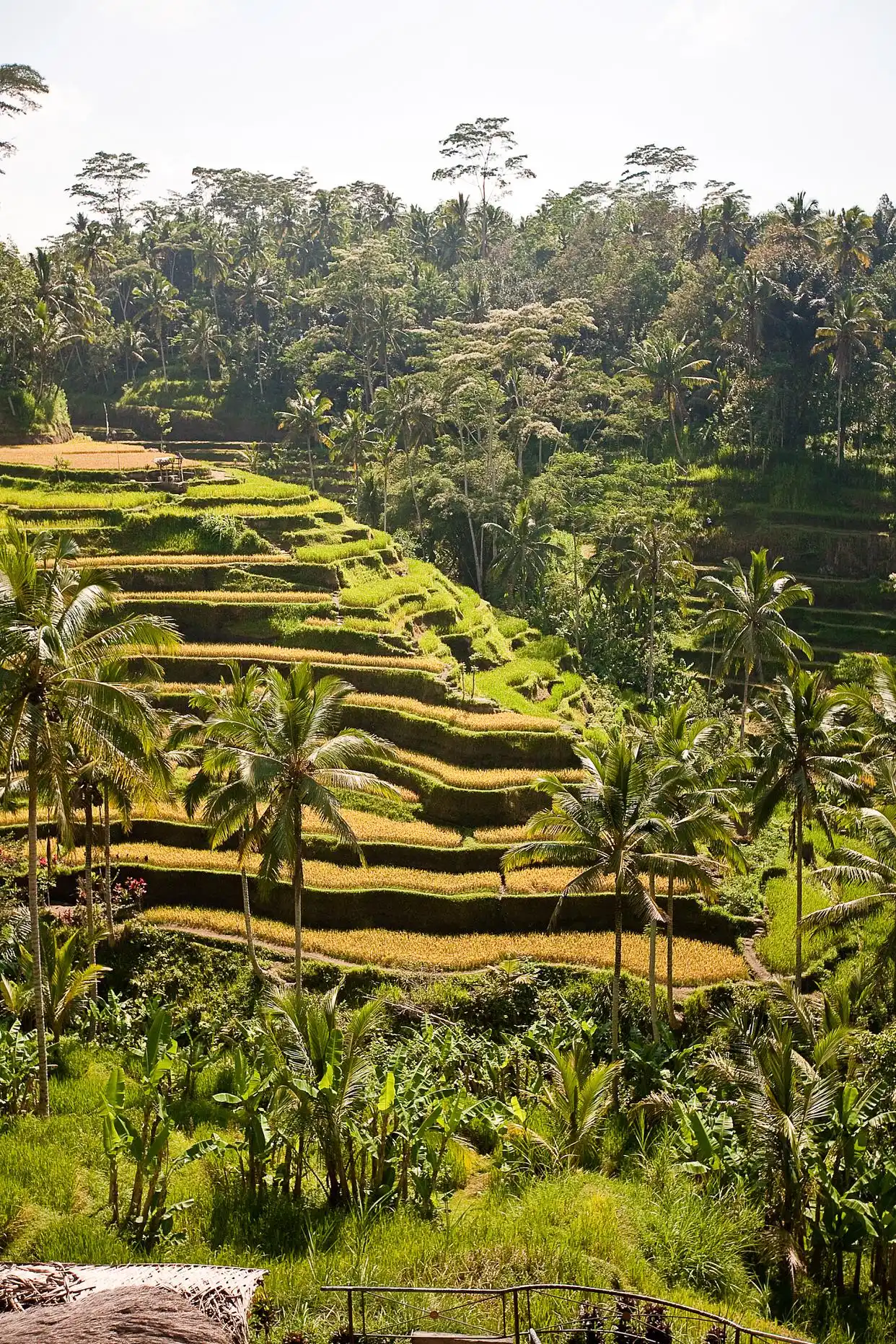 收不到短信验证码？这些人为疏忽你可能每天都在犯！